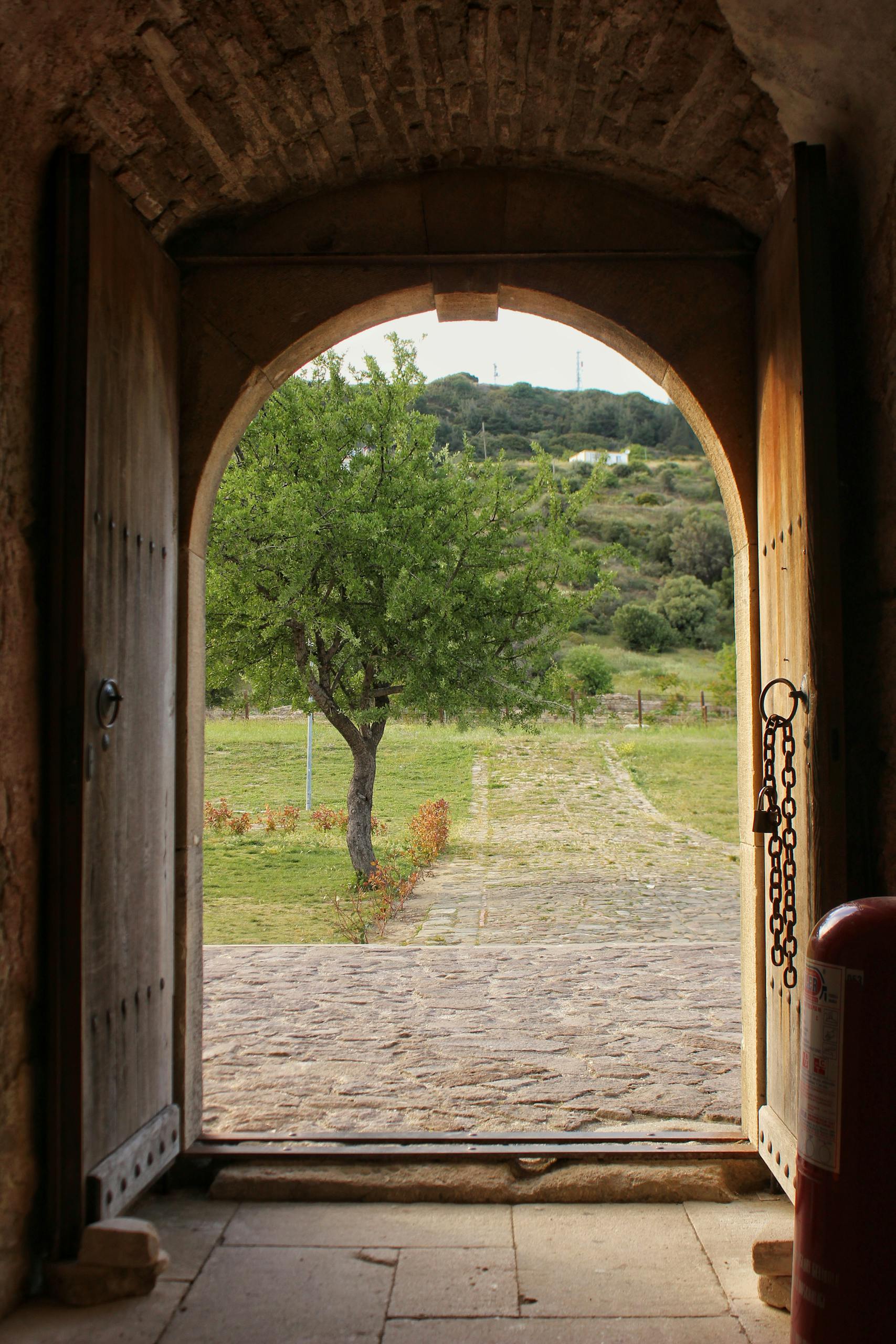 View through a wooden archway of a lush green landscape with a lone tree.